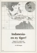 Indonesia - en ny tiger?